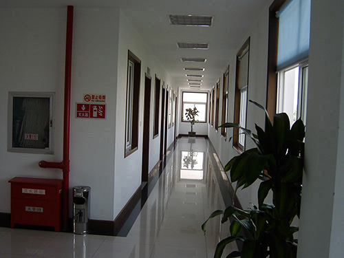 (圖8)